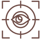 Vision Icon